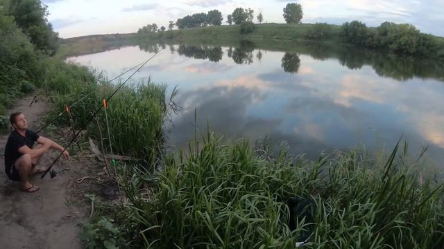Бешенный вечерний клев!!!Ловля карася!!!Фидер, кормушка. Вечерняя рыбалка. Рыбалка на Дону. смотреть онлайн