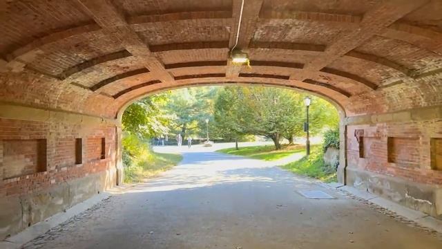 Осенняя прогулка по Манхэттену через Центральный Парк. Сегодня идеальное качество! Оцените! #ньюйор смотреть онлайн