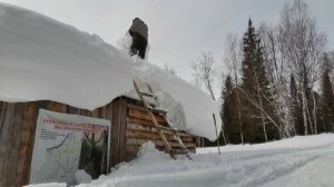 Будни в тайге, подготовка к охоте на медведя, упал с крыши зимовья. Сибирь, Март 2023