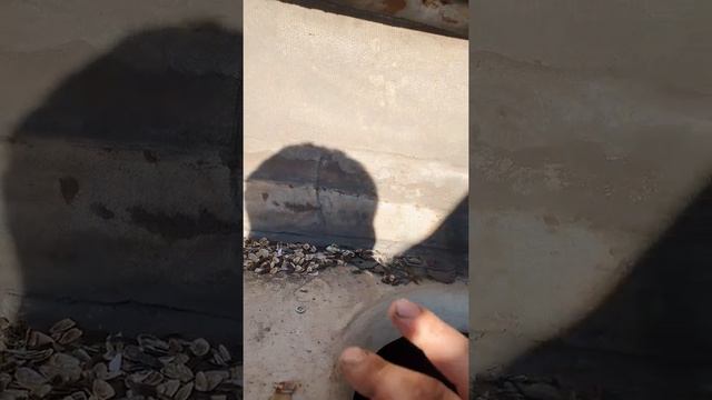 Оживление катера Ритм