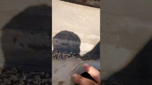 Оживление катера Ритм