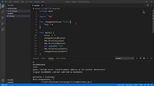 Golang Pointers & Structures