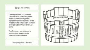 Лекция «Гидропоника: что такое и зачем?»