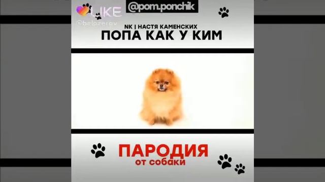 Пародия от собаки попа как у ким смотреть онлайн