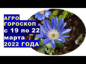 Агрогороскоп с 19 по 22 марта 2022 года