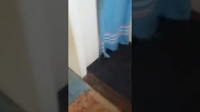 Чистка поршневой от нагара смотреть онлайн