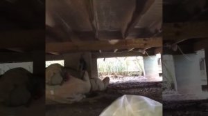 Утепление пола снизу из подвала пеной