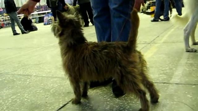 Borya.mpg смотреть онлайн