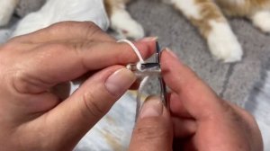 Узоры спицами. Плотный узор с узелками.