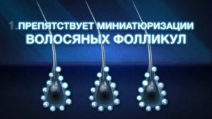 Как работает Rogaine (Регейн)