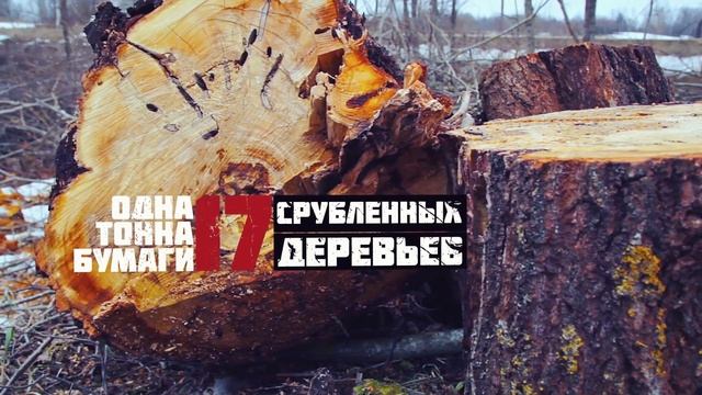 Социальный видеоролик