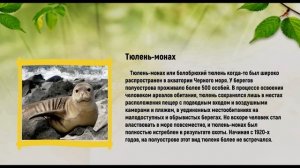 Проект Красная Книга   Орловой Вероники 2 А класса школа № 12