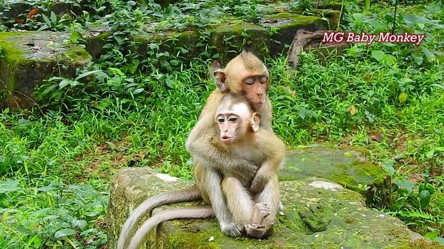 Sweet warm hug! Thank Nora for hard hug baby Candy get warm heart by no family with new team смотреть онлайн