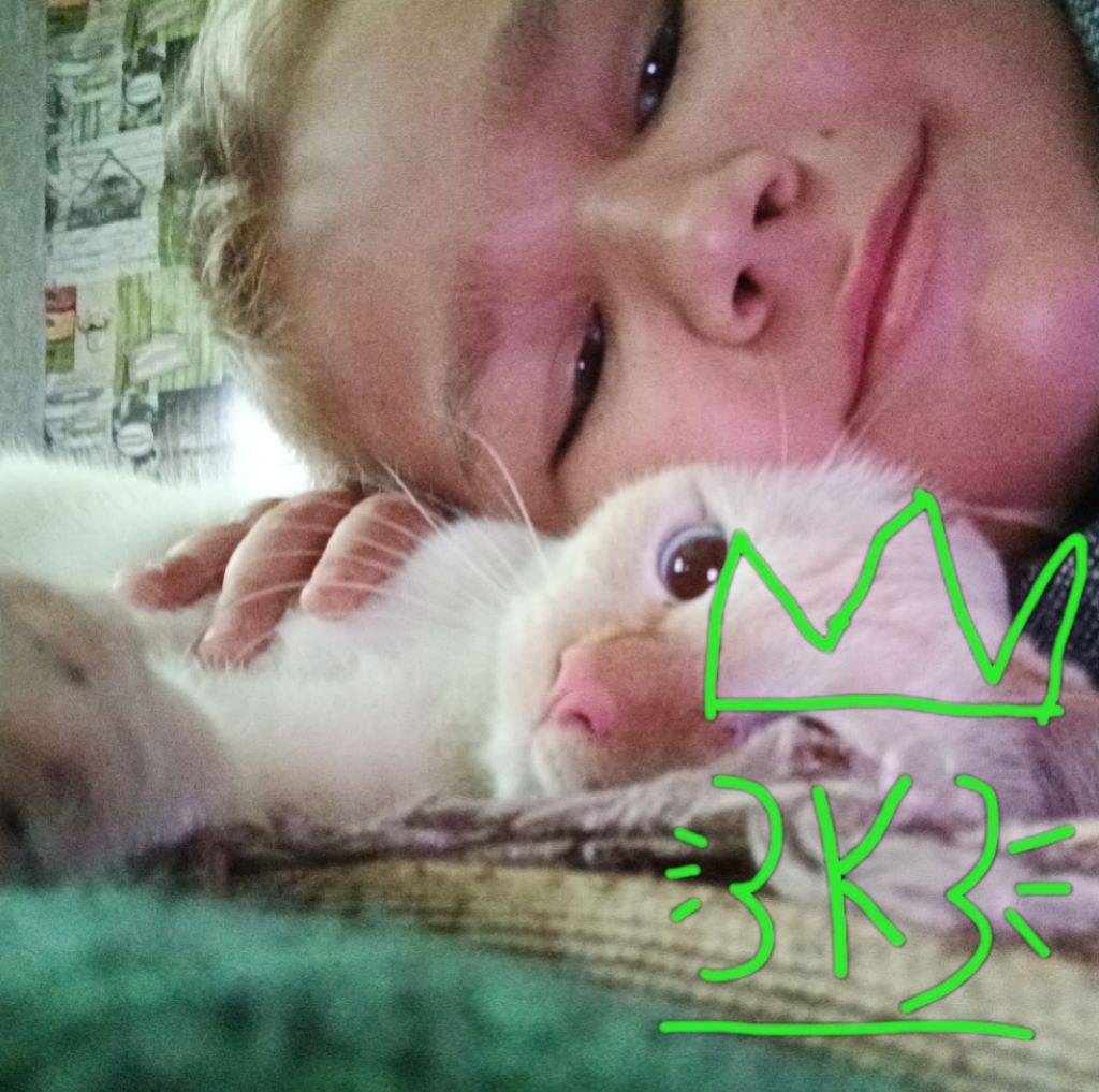 сижу и разговариваю с подпищеками смотреть онлайн