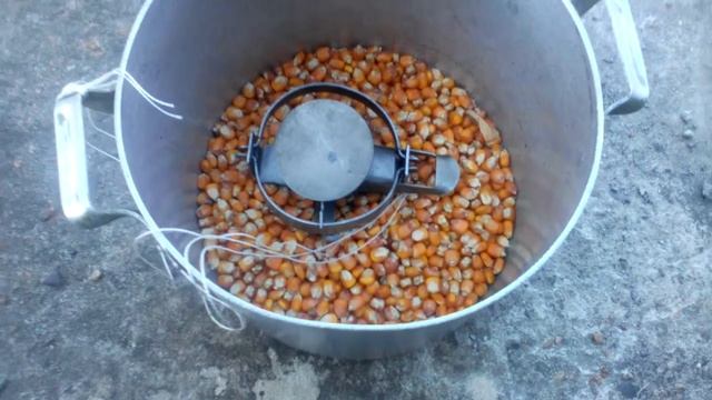 Крысоловка!!! смотреть онлайн