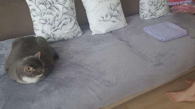 Мотивация на уборку: Хранение постельного белья и полотенец