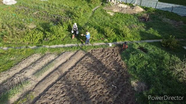 Картошка-23 .mp4 смотреть онлайн