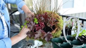 Make a Mixed Fall Hanging Basket 🍂 || West Coast Gardens