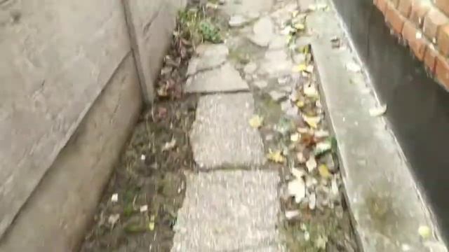 Навес на две машины 6×6 метров Бюджетный навес своими руками кровля металлопрофилем быстро дёшево..