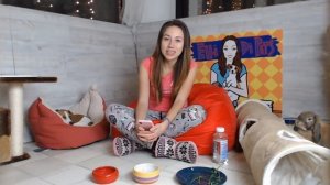 |Элли Ди отвечает на вопросы подписчиков|Нарезка со стрима