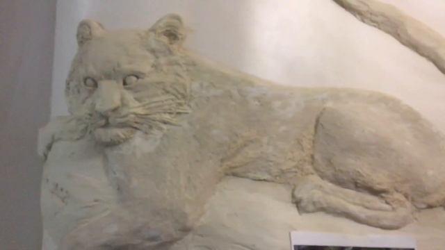 Шерсть животного в барельефе | художник Наталья Боброва смотреть онлайн