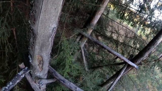 ПОЕХАЛ на кавасаки ззр 1100 в ЛЕС и нашёл что-то