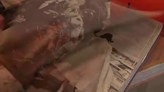 Книжный магазин Карла Лагерфельда смотреть онлайн