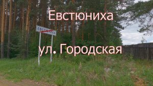 Нижний Тагил, посёлок Евстюниха, ул  Городская.