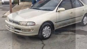 как защитить автомобиль от котов