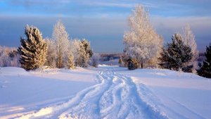 СНЕГ- ФЁДОР МАНАШИРОВ (REMIX)