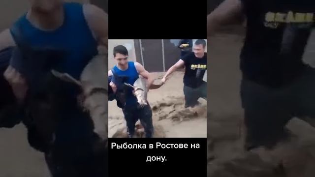 как ловить рыбу в Ростове