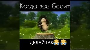 А вы знаете что делать когда всё бесит?
