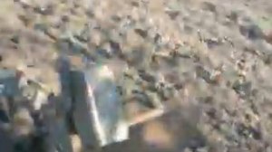 Минитрактор,,МУРАВЕЙ,,пахота огорода