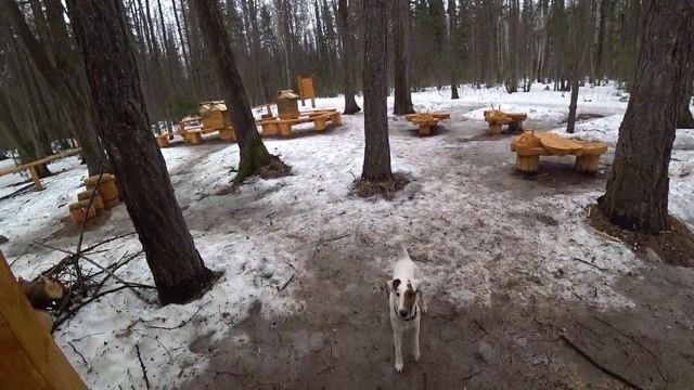 Экотропа "В гостях у Липанюшки." смотреть онлайн