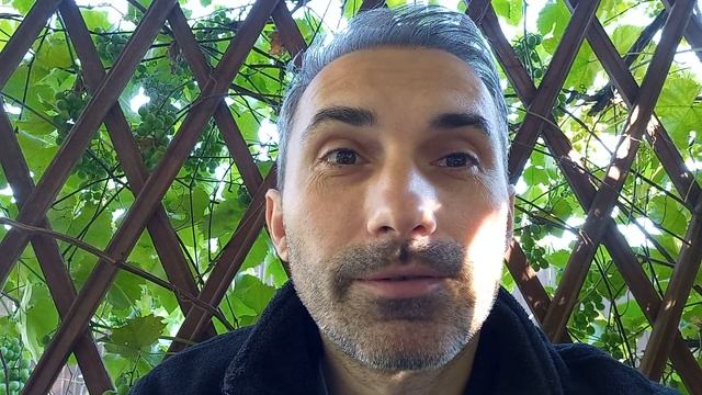 МЫШИ В БАРЕ ● Коллекция смешных анекдотов смотреть онлайн