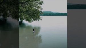 Сказка про Серёгу