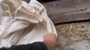 Скільки ?ЛЮЦЕРНИ? получилось з одного гектара