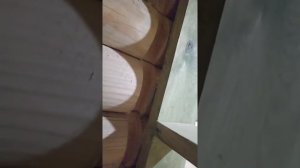 Душ-трап в срубе ч. 1