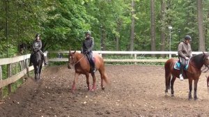 Как выполнить перемены направления. Уроки верховой езды