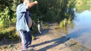 Рыбалка в низовьях р. Дон  - продолжение