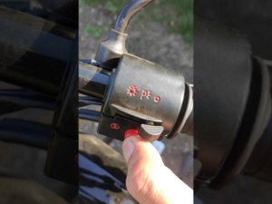 мопед Largo. стоит ли брать.