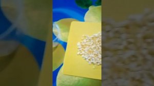 Кожура лимона. Как сохранить и применить.