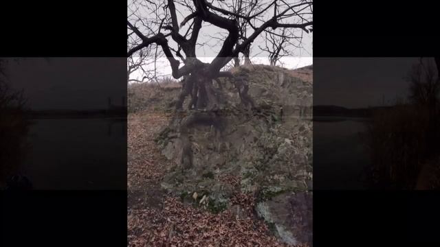 Пешие прогулки 2016 смотреть онлайн