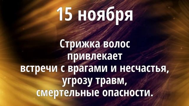 Ноябрь 2020 г. | Стрижка волос и ваше благополучие