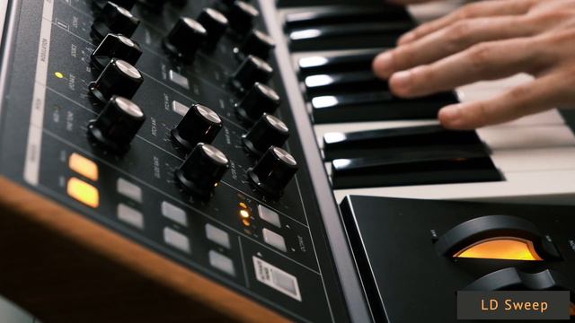 Moog Subsequent 25 & Sub Phatty: 64 Leads & Plucks Patches/Presets