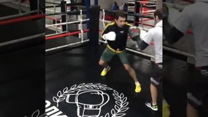 Персональная тренировка по боксу . Работа на лапах .