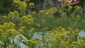 Развитие туризма на реке Чусовой и сохранение экологии на территории