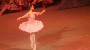 Щелкунчик. Вариация 2. Танец Феи Драже.