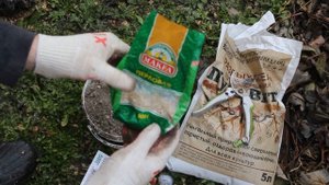 Абрикос и персик в башкирии | отзыв питомник Голубевых