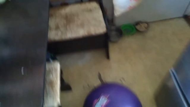 Бюджетные игры/домашние дела смотреть онлайн